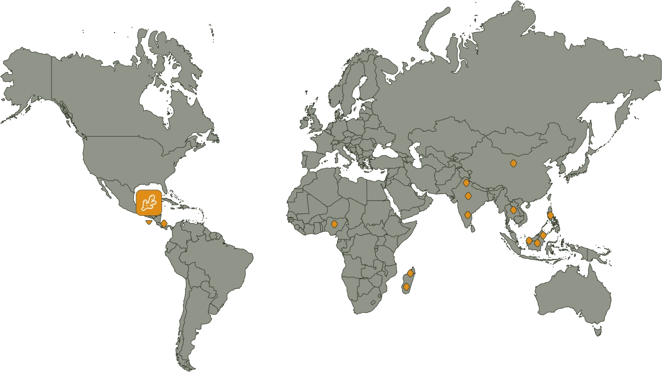 Ingredients Map